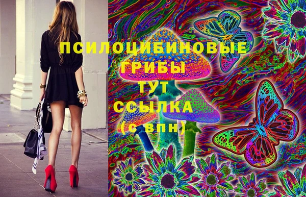 спайс Арсеньев